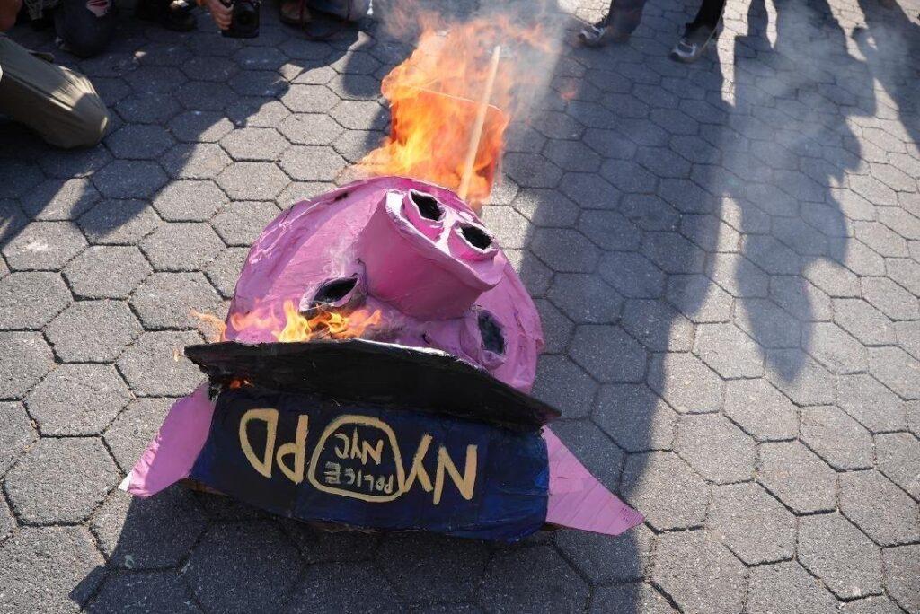 Burning effigy of pig head with NYPD hat.